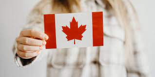root-on-banner-image